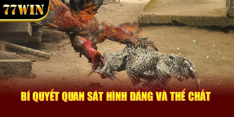 Bí quyết quan sát hình dáng và thể chất