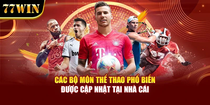 Các bộ môn thể thao phổ biến được cập nhật tại nhà cái