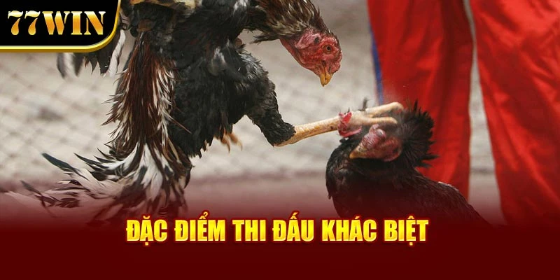 Đặc điểm thi đấu khác biệt