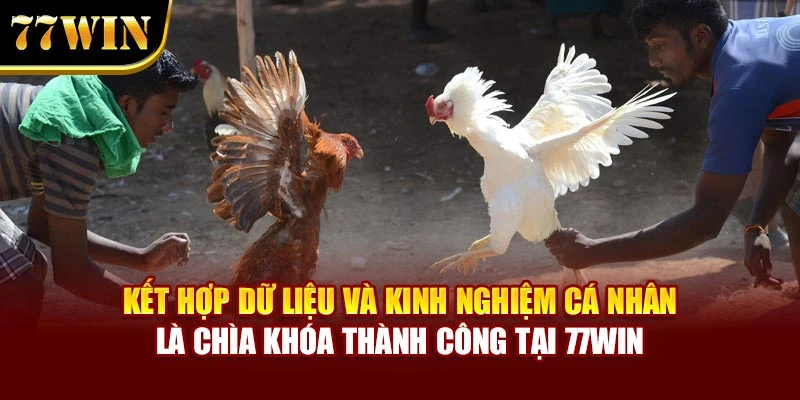 Kết hợp dữ liệu và kinh nghiệm cá nhân là chìa khóa thành công tại 77WIN