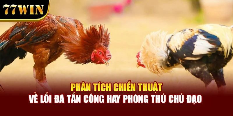 Phân tích chiến thuật về lối đá tấn công hay phòng thủ chủ đạo 