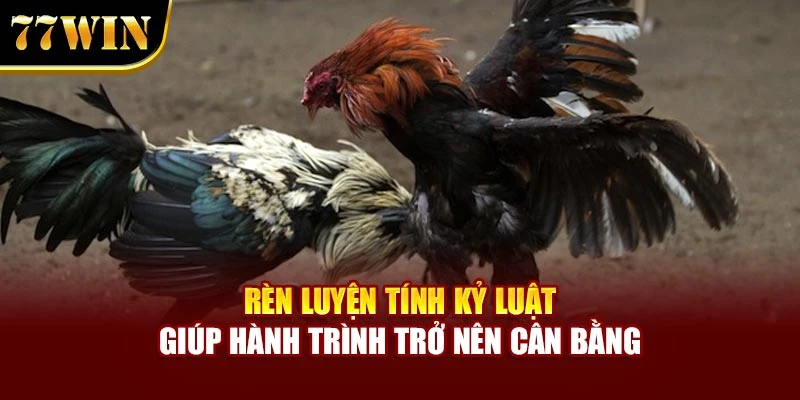 Rèn luyện tính kỷ luật giúp hành trình trở nên cân bằng