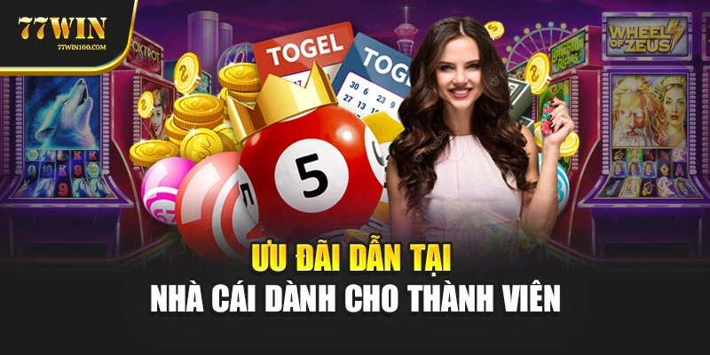 Ưu đãi dẫn tại nhà cái dành cho thành viên